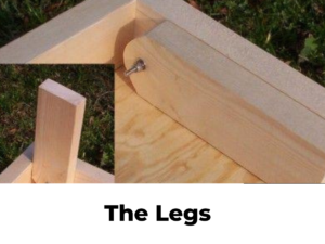 The Legs