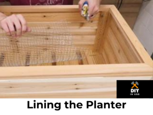 Lining the Planter
